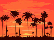 The Evening On The Beach Summer Orange Sky And Coconut Tree Shadow.