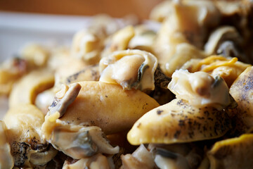 Canvas Print - Boiled sea snail, conch sashimi 