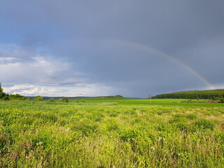  spring rural landscape juicy green grass rainbow over field