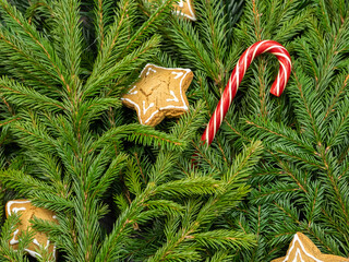 Background of Christmas tree branches with red Christmas candy and cookies in the shape of stars