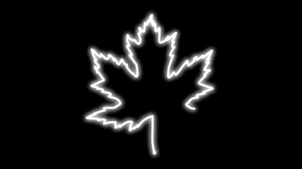 Wall Mural - Maple leaf glowing line animation. White outline on black background.