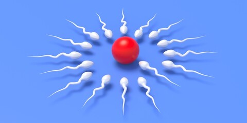 Wall Mural - Fertilization.  Sperm cells moving to female ovum egg on blue background. 3d illustration