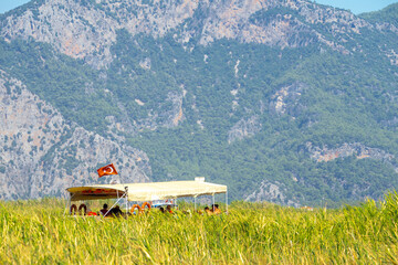 Tourist pleasure boat on the Dalyan River, next to the rocks, which contain the Lycian tombs, in Mugla Province located between the districts of Marmaris and Fethiye on the south-west coast of Turkey