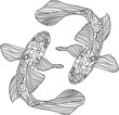 koi carp vector illustration Mandala style, colouring page. Hand drawn outline Koi fish and Japanese tattoo. japanese carp koi gold fish black and white vector illustration. Two koi carps icon