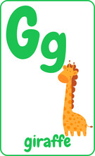 Cute Letter G For Kids In Cartoon Style. English Alphabet Card For Kids To Help Learning And Education In Kindergarten Children. Letter G Is For Giraffe Illustration.