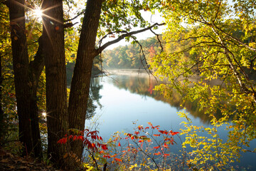 Wall Mural - calm lake and trees in autumn color with a sunburst in the morning
