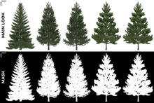 3D Rendering Of Trees (Generic Pines) With Alpha Mask To Cutout And PNG Editing. Forest And Nature Compositing.	
