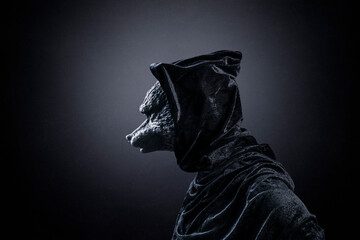 Wolf in hooded cloak at night over dark misty background