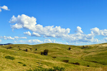 A Rolling Hillside With White Clouds
