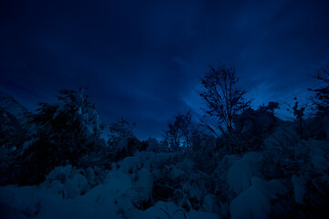 Wall Mural - mountain road through the snowy forest on a full moon night. scenic night winter landscape of dark b