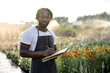 © Roman - Agriculture man holding clipboard,researcher is checking the progress and growth of plants. Black guy taking notes on the report paper in agriculture Field. Research and Education Concepts.