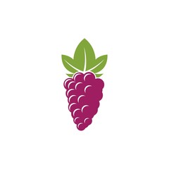 Wall Mural - Grape with leaf logo