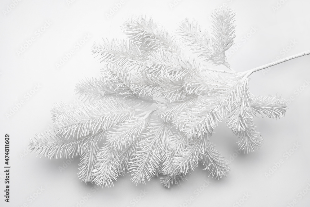 Beautiful Christmas fir branch isolated on white background