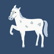 white horse. illustration on dark blue backgraund