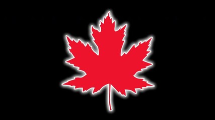 Wall Mural - Red pink glowing maple leaf animation. Hand drawn outline. Seamless loop, luma matte.