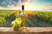 Vineyard With Ripe Grapes In Countryside At Sunset