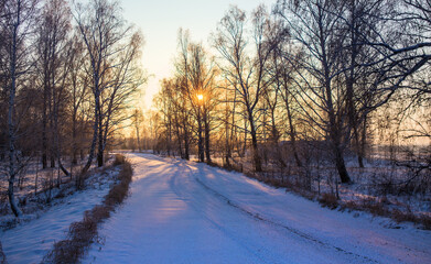 Wall Mural - Winter Landscape with a road in the forest