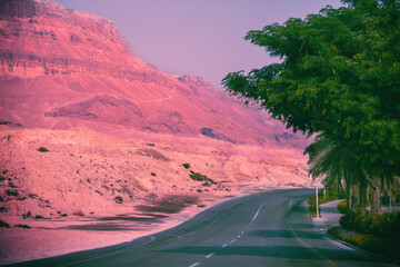 Fototapete - Road in the city of Ein Bokek at sunrise, Israel