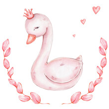Cute Cartoon Swan In Crown; Watercolor Hand Drawn Illustration; With White Isolated Background