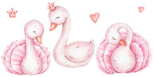Set With Three Cute Swans, Heart And Crown; Watercolor Hand Drawn Illustration; With White Isolated Background