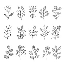 Set Of Stylized Flowers And Plants. Botanical Doodle Illustration.