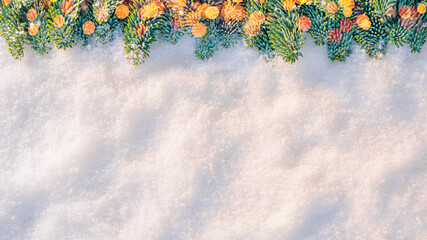 Wall Mural - christmas tree branches in the snow in sunlight with bokeh lights. snow texture background