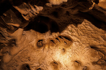 Poster - Ceiling wart formations in the cave.