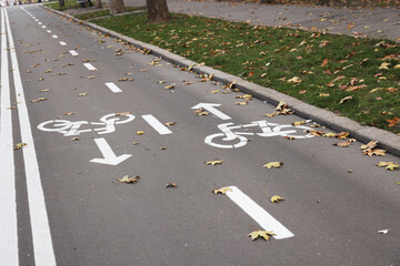 Two way bicycle lane with white signs on asphalt