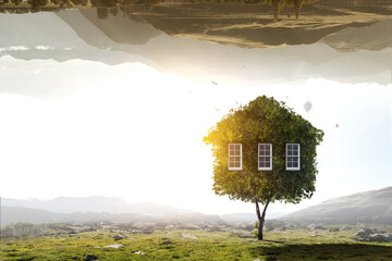 Poster - Little Eco House on the green grass