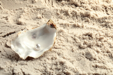 Canvas Print - Half of oyster with white pearl on sand, space for text