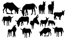 Hand Drawn Silhouette Of Donkey. Vector, Isolated Silhouette Of A Donkey, Collection