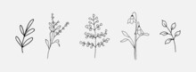 Hand Drawn Botanical Flowers And Leaves. Hand Sketched Vector Vintage Elements For Wedding Decorations, Birthday, Social Media And More.