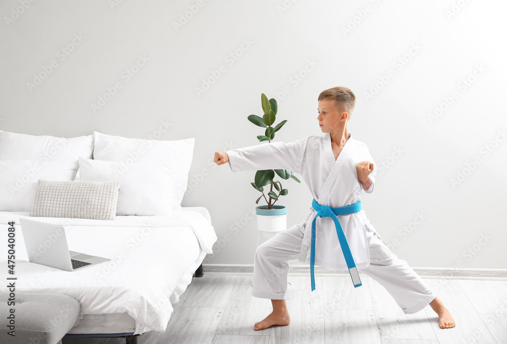 Little boy studying karate online at home