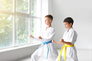 Wall Mural - Little boys practicing karate in gym