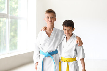 Wall Mural - Little boys practicing karate in gym