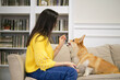 © yavdat - Little dog with owner playing and having fun. young teen girl sitting on the couch with her pet. Christmas tree in the background. soft focus. soft selective focus