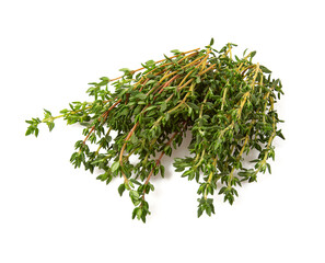 Wall Mural - thyme isolated on white background