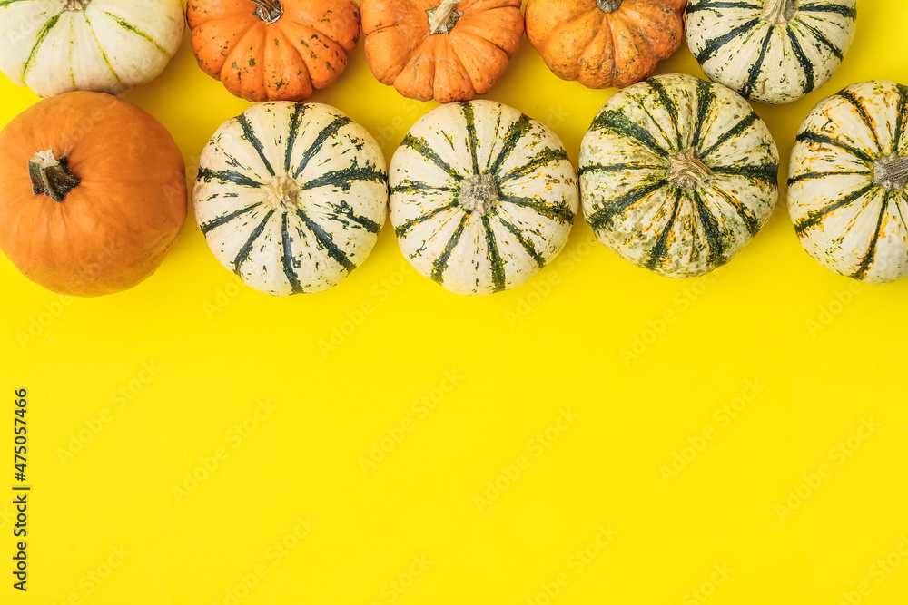 Ripe beautiful pumpkins on yellow background