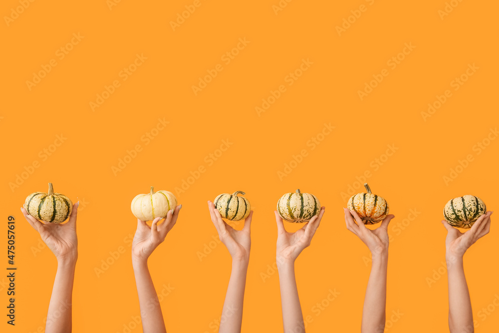Female hands with beautiful pumpkins on orange background