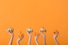 Female Hands With Beautiful Pumpkins On Orange Background