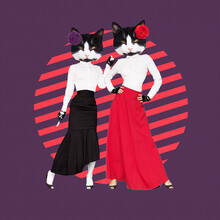 Minimal Contemporary Collage Creative Art.  Passion Kitty Girls Flamenco Dancer. Trendy Retro Style. Party Concept