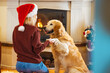 © Dragana Gordic - Stylish woman in cozy sweater caressing adorable dog under christmas tree with gifts and lights. Happy young female hugging and kissing cute white dog in festive scandinavian room. Happy Holidays
