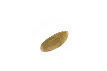 Sticker - Single peeled pumpkin seed on white