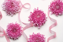 Beautiful Chrysanthemum Flowers And Ribbons On White Background
