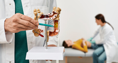 Anatomical intestines model with pathology in doctor hands. Gastroenterologist palpates patient abdomen and examines belly at clinic over background