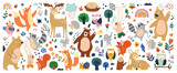 Fototapeta Fototapety na ścianę do pokoju dziecięcego - Isolated set with cute woodland forest animals in cartoon style. Ideal kids design, for fabric, wrapping, textile, wallpaper, apparel