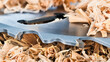 © KPixMining - Closeup of circular saw blade metal teeth in a pile of beautiful twisted wooden shavings. Detail of sharp steel sawing disc part with replaceable cemented carbide inserts. Chip machining in wood work.