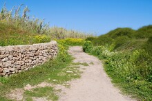 Coastal Trail With Typical Dry Stone Wall In Riserva Naturale Oasi Faunistica Di Vendicari, Province Syracuse, Sicily, Italy.