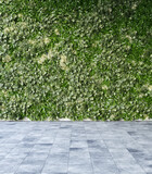 Fototapeta Perspektywa 3d - Vertical garden wall