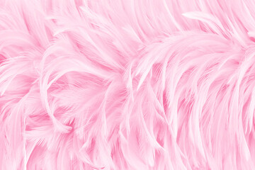 Beautiful soft pink bird feathers pattern texture background.